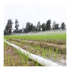 1 1.5 2 3 4 5 6 8 Inch Agriculture PE Layflat Hose Irrigation Fabric Lay Flat Garden Hose Canvas Water Pipe