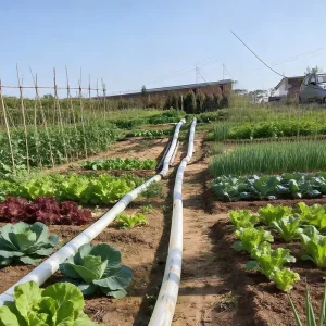 2.5 Inch 100m PE Woven Layflat Hose 6.5 Bar Lightweight Hose for Farmland Flood Irrigation and Drainage