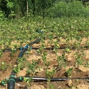 Agricultural Equipment and Tool Lay Flat Watering Pump Wide High Pressure PE Layflat Hose
