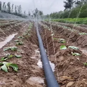 Agricultural Farm Irrigation 3/4″ 0.5-0.8bar Working Pressure Rain Spray Tape for Orchard, Vegetable & Nursery Irrigation