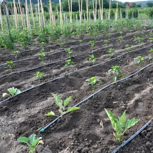 Agricultural Vegetable Drip Tape Watering Garden Drip Irrigation System