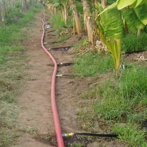 Customized Red Flexible Irrigation Pipe for Agriculture Wear Resistant Uv Resistant Pvc Lay Flat Hose for Agriculture
