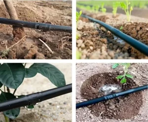 Drip Irrigation Drip Tape Hose Belt Micro Irrigation System for Fruit Greenhouse Agricultural Use PE Plastic Black
