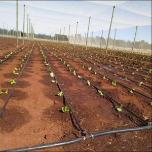 Factory Directly Supply 16mm Drip Pipe Complete Drip Irrigation System for a Commercial Farm