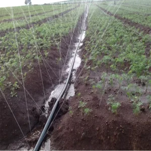 Farm & Garden Irrigation Sprayer Hose 20mm Plastic Rain Tape for Vegetable Watering