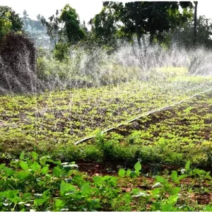 High Pressure Resistant PE Layflat Hose UV Stabilized Explosion Proof Irrigation Pipe for Industrial Agricultural Home Use