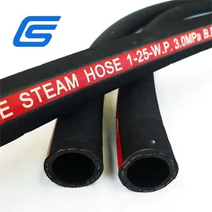 High Temperature Steam Lines Hydraulic Rubber Hose Steam Hose