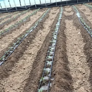 One Hectare Drip Irrigation System Flexible Plastic Layflat Water Hose All Season Watering Irrigation for Farm
