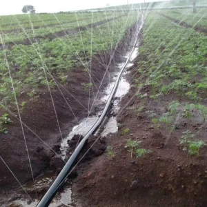 PE Micro Spray Tape Watering Hose 20mm Diameter Anti-clogging Rain Hose for Agricultural Farmland Irrigation System