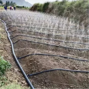Plant Irrigation Rain Hose Micro Spray Tape