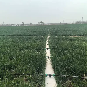 Pre-drilled Lay Flat Hose 4″x100m 20cm Hole Spacing Drip-Free Connectors