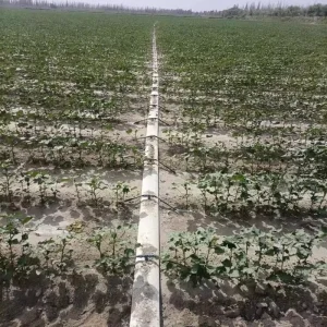 Pre-drilled Lay Flat Hose 5″x150m Custom Hole Layout Drought Solution Corn Row Crop