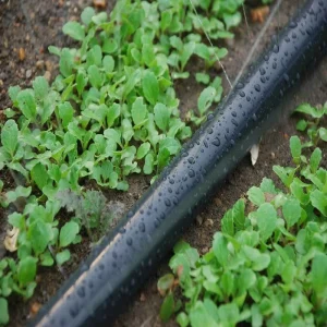 Source Factory Small Garden Irrigation Water Delivery Agricultural Pvc Lay Flat Hose