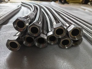 Stainless Steel Wire Braided LPG /AGS Hose Assembly Bsp Female Swivel Fitting SS304 1inch 10bar 1/4