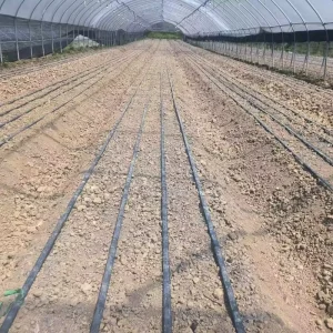 Water Irrigation Equipment Dripping Flat Drip Tape Lines PE Drip Hose Irrigation System for Farms and Garden